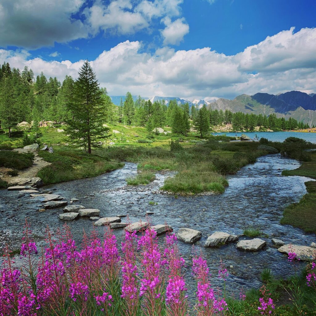 Breathtaking view of alpine scenery with vibrant flowers and a flowing river in Aosta, Italy.
